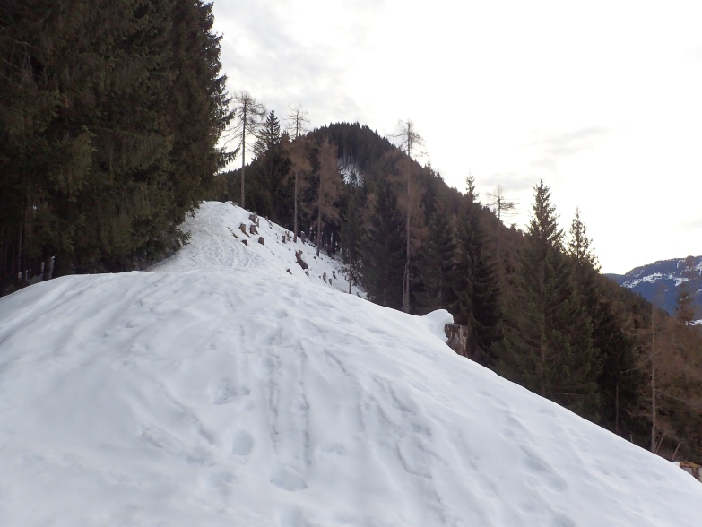 Foto: Manfred Karl / Skitour / Über das Rosnerköpfl auf die Bischlinghöhe / Gratrücken zum Steinbergriedel / 11.01.2022 07:09:53