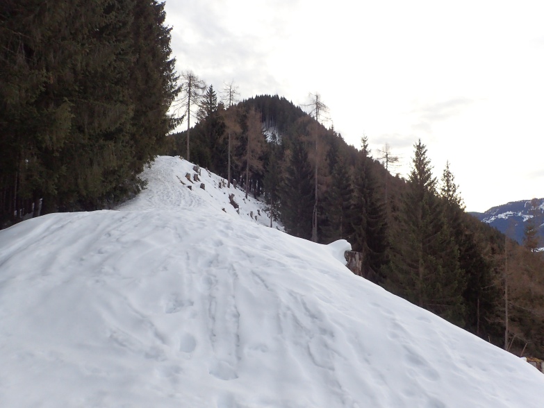 Foto: Manfred Karl / Skitour / Über das Rosnerköpfl auf die Bischlinghöhe / Gratrücken zum Steinbergriedel / 11.01.2022 07:09:53
