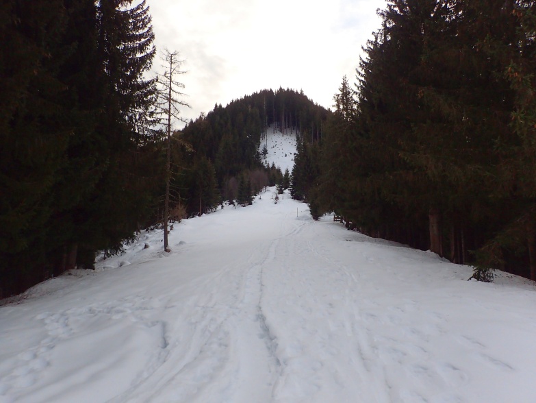Foto: Manfred Karl / Skitour / Über das Rosnerköpfl auf die Bischlinghöhe / Kurz vor dem Steilhang am Steinbergriedel / 11.01.2022 07:07:55