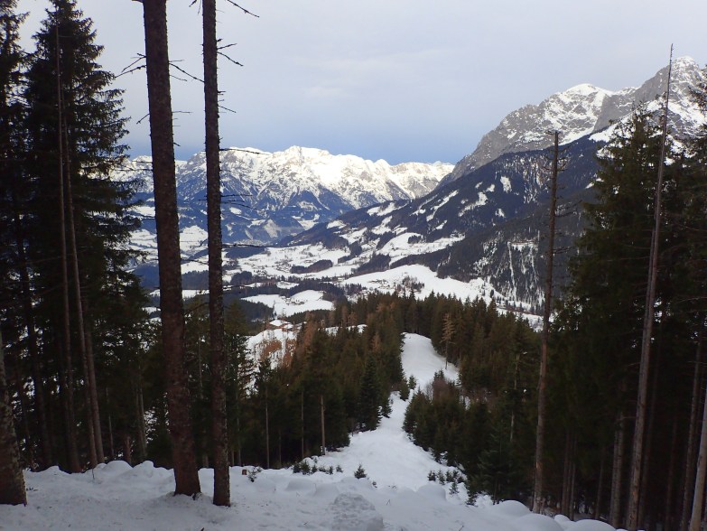 Foto: Manfred Karl / Skitour / Über das Rosnerköpfl auf die Bischlinghöhe / Oberhalb vom Steilhang / 11.01.2022 07:07:23