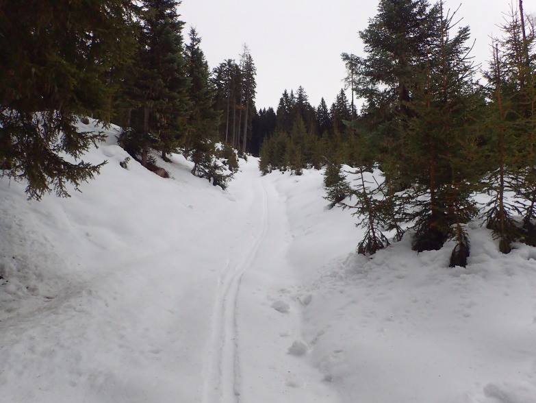 Foto: Manfred Karl / Skitour / Über das Rosnerköpfl auf die Bischlinghöhe / Ziehweg aufs Donneregg / 11.01.2022 07:06:41