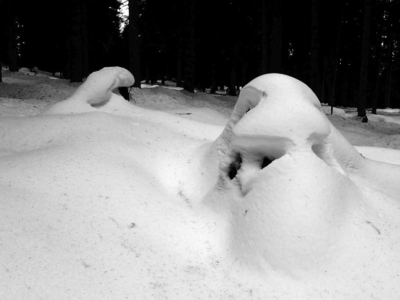 Foto: Manfred Karl / Skitour / Über das Rosnerköpfl auf die Bischlinghöhe / Schneeskulpturen am Donneregg / 11.01.2022 07:06:01