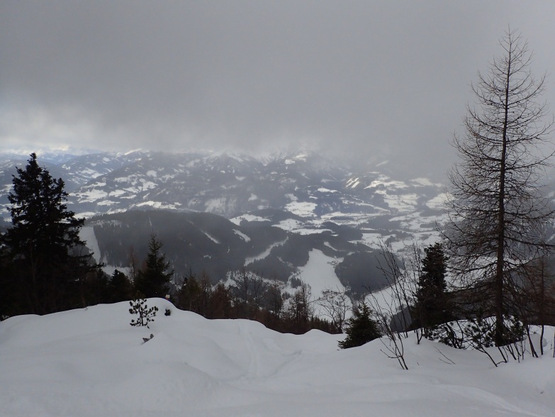Foto: Manfred Karl / Skitour / Über das Rosnerköpfl auf die Bischlinghöhe / Kurzes Schneegestöber beim Aufstieg / 11.01.2022 07:02:55