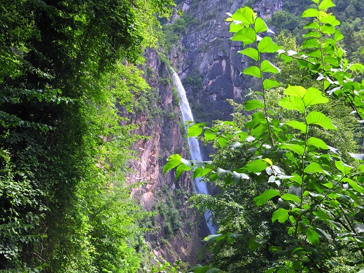Foto: Andreas Koller / Wandertour / Spaziergang zum Fragsburger Wasserfall (820m) / 13.01.2022 02:09:52
