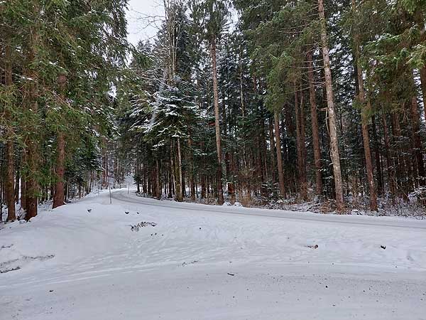 Foto: Rupert Gredler / Skitour / Rannberg auf einsamer Spur / Vom Parkplatz in den Wald. / 14.01.2022 10:29:25
