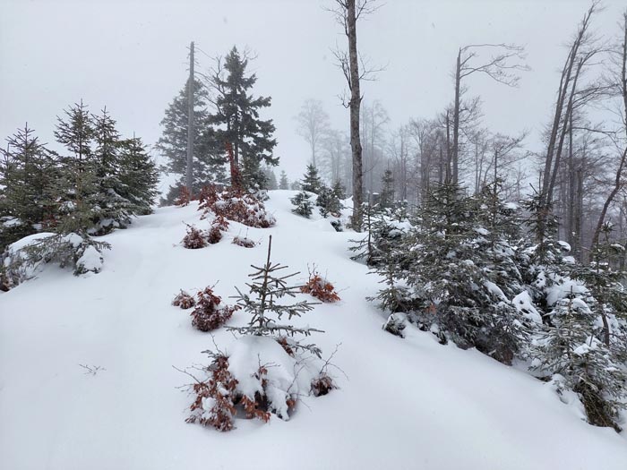 Foto: Rupert Gredler / Skitour / Rannberg auf einsamer Spur / Nach Osten zum Gipfel. / 14.01.2022 10:29:56