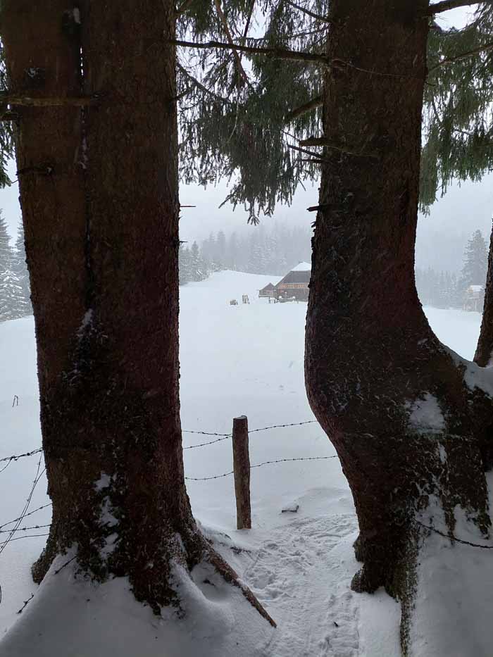 Foto: Rupert Gredler / Skitour / Rannberg auf einsamer Spur / Etwas eng zur Stegeralm. / 14.01.2022 10:25:54