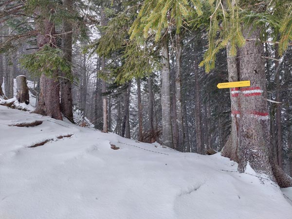 Foto: Rupert Gredler / Skitour / Rannberg auf einsamer Spur / Zur Stegeralm hinauf. / 14.01.2022 10:26:32
