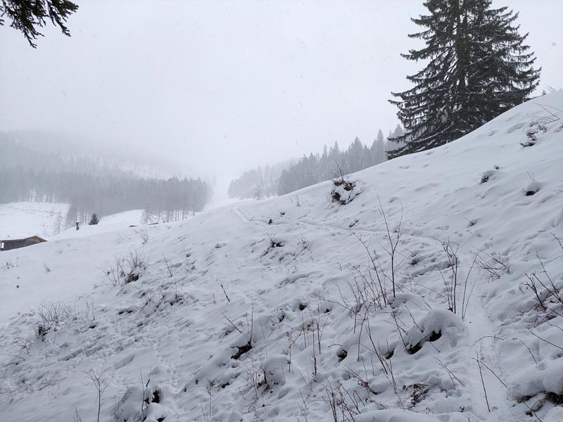 Foto: Rupert Gredler / Skitour / Rannberg auf einsamer Spur / Querung zur Mittereggalm hinauf. / 14.01.2022 10:27:14