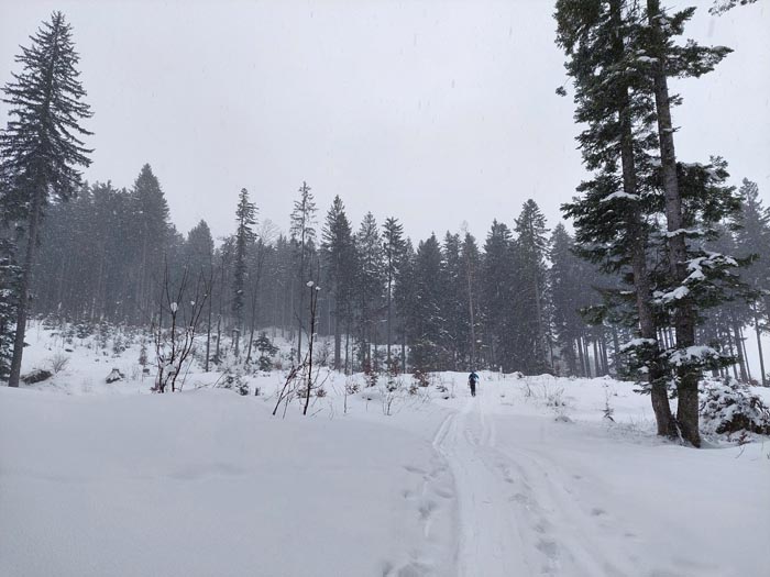 Foto: Rupert Gredler / Skitour / Rannberg auf einsamer Spur / Unter der Mittereggalm. / 14.01.2022 10:27:49