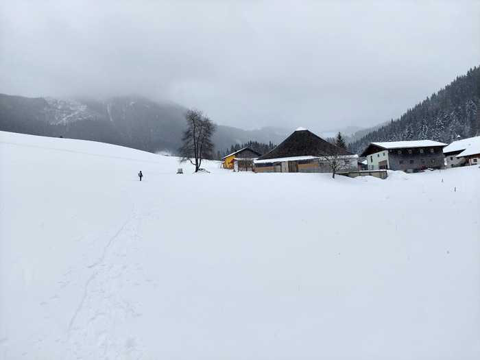 Foto: Rupert Gredler / Skitour / Rannberg auf einsamer Spur / Zum Döllerer / 14.01.2022 10:28:15