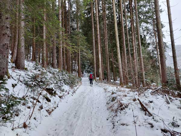 Foto: Rupert Gredler / Skitour / Rannberg auf einsamer Spur / Auf dem alten Döllerersteig. / 14.01.2022 10:28:52
