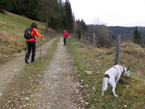 Foto: Andreas Koller / Wandertour / Südroute zum Kreuzschober (1410m) / 17.03.2022 00:05:43