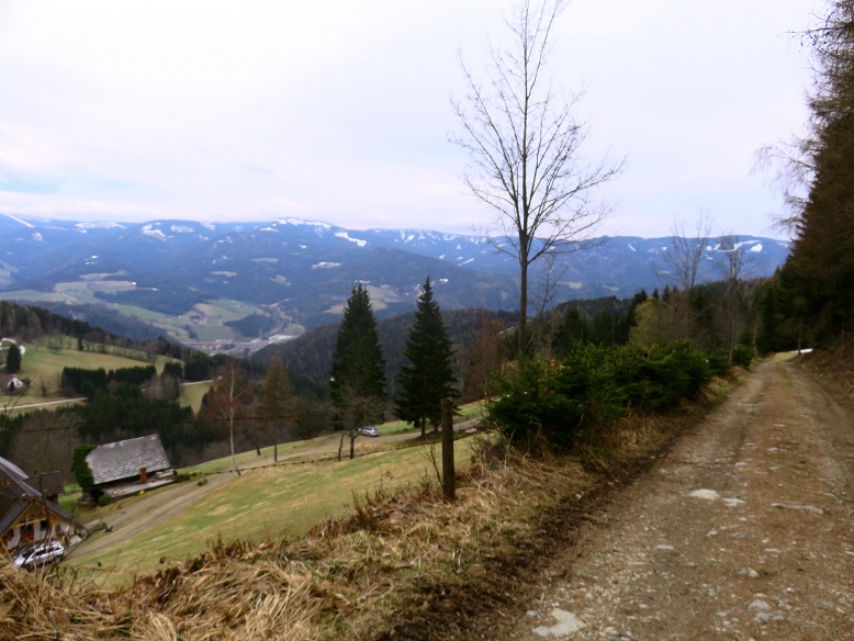 Foto: Andreas Koller / Wandertour / Südroute zum Kreuzschober (1410m) / 17.03.2022 00:05:34