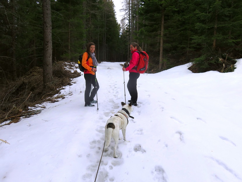 Foto: Andreas Koller / Wandertour / Südroute zum Kreuzschober (1410m) / 17.03.2022 00:05:01