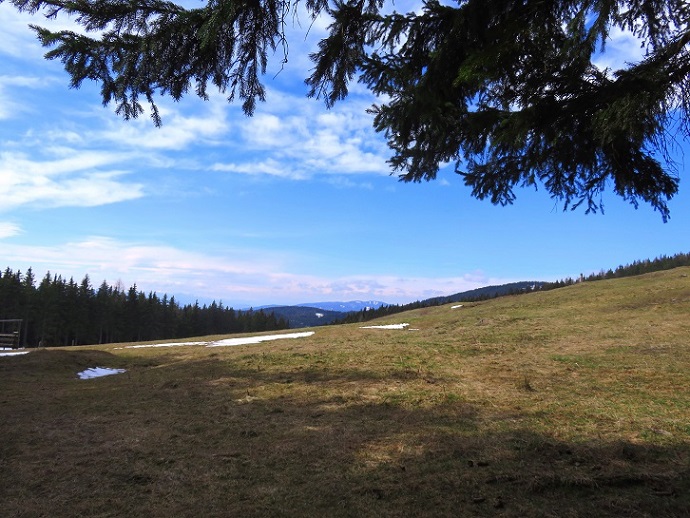 Foto: Andreas Koller / Wandertour / Südroute zum Kreuzschober (1410m) / 17.03.2022 00:04:51