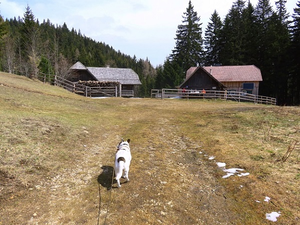 Foto: Andreas Koller / Wandertour / Südroute zum Kreuzschober (1410m) / Kaarlhütte / 17.03.2022 00:04:28
