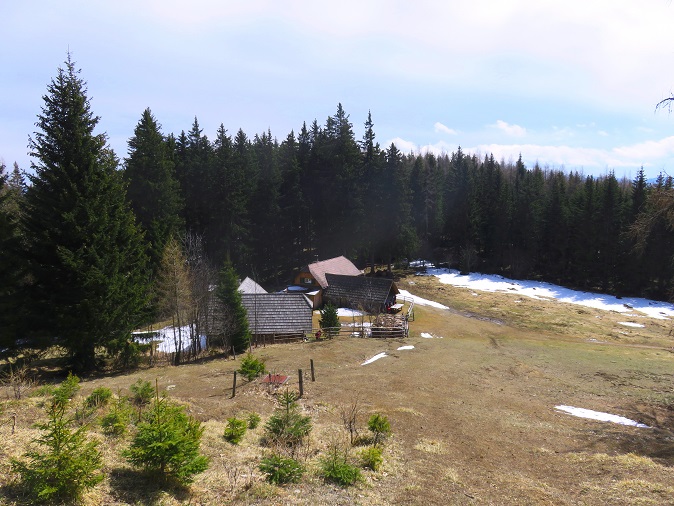 Foto: Andreas Koller / Wandertour / Südroute zum Kreuzschober (1410m) / 17.03.2022 00:04:17