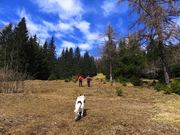 Foto: Andreas Koller / Wandertour / Südroute zum Kreuzschober (1410m) / 17.03.2022 00:04:10