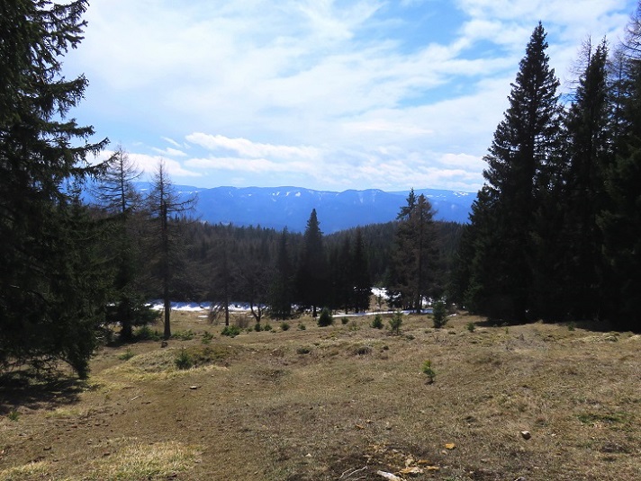 Foto: Andreas Koller / Wandertour / Südroute zum Kreuzschober (1410m) / 17.03.2022 00:03:59