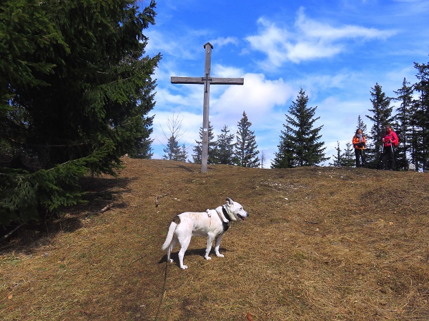 Foto: Andreas Koller / Wandertour / Südroute zum Kreuzschober (1410m) / Ankunft am Gipfel des Kreuzschober / 17.03.2022 00:06:30