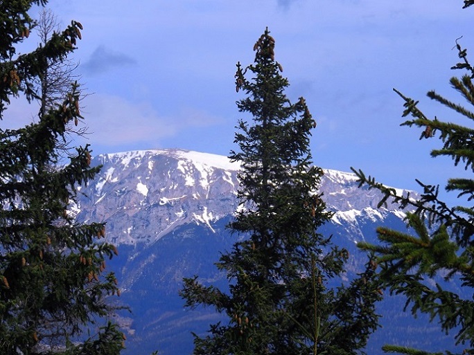 Foto: Andreas Koller / Wandertour / Südroute zum Kreuzschober (1410m) / Rax-Blick / 17.03.2022 00:03:16