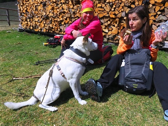 Foto: Andreas Koller / Wandertour / Südroute zum Kreuzschober (1410m) / 17.03.2022 00:00:56
