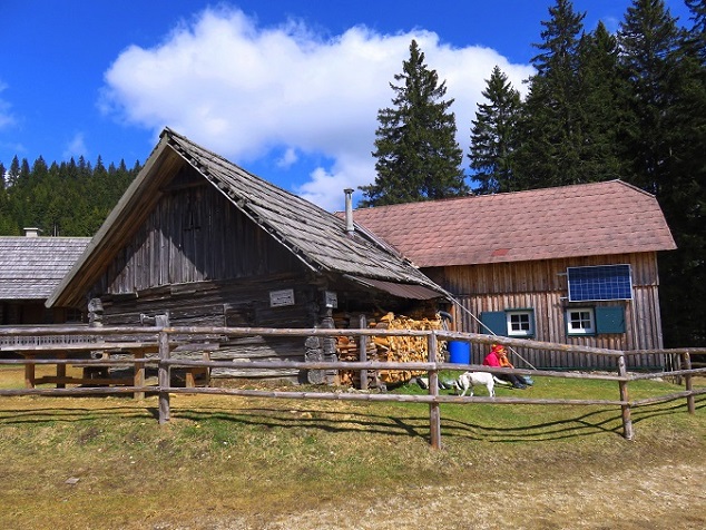 Foto: Andreas Koller / Wandertour / Südroute zum Kreuzschober (1410m) / 17.03.2022 00:00:49