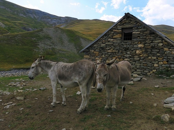 Foto: Andreas Koller / Wandertour / Pic du Mas de la Grave (3021m) / 22.04.2022 22:21:53