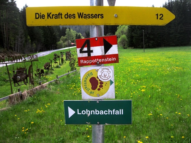 Foto: Andreas Koller / Wandertour / Bärentrail und die Kraft des Wassers (793m) / 26.04.2022 01:31:42