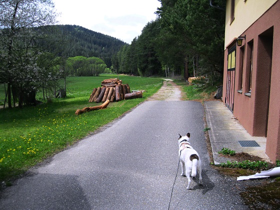 Foto: Andreas Koller / Wandertour / Bärentrail und die Kraft des Wassers (793m) / 26.04.2022 01:31:32