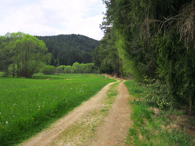 Foto: Andreas Koller / Wandertour / Bärentrail und die Kraft des Wassers (793m) / 26.04.2022 01:31:22