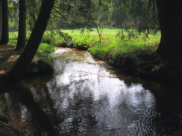 Foto: Andreas Koller / Wandertour / Bärentrail und die Kraft des Wassers (793m) / 26.04.2022 01:31:06