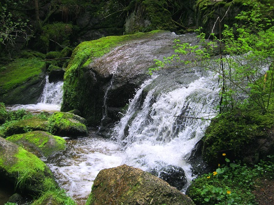 Foto: Andreas Koller / Wandertour / Bärentrail und die Kraft des Wassers (793m) / 26.04.2022 01:30:39