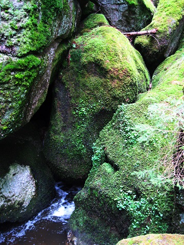 Foto: Andreas Koller / Wandertour / Bärentrail und die Kraft des Wassers (793m) / 26.04.2022 01:30:31