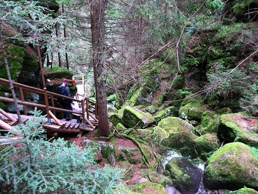 Foto: Andreas Koller / Wandertour / Bärentrail und die Kraft des Wassers (793m) / 26.04.2022 01:30:26