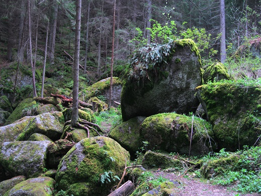 Foto: Andreas Koller / Wandertour / Bärentrail und die Kraft des Wassers (793m) / 26.04.2022 01:30:20