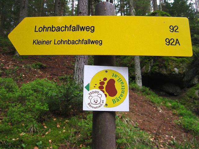 Foto: Andreas Koller / Wandertour / Bärentrail und die Kraft des Wassers (793m) / 26.04.2022 01:30:05
