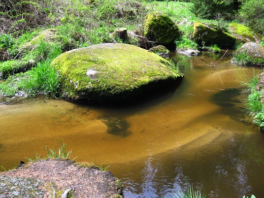 Foto: Andreas Koller / Wandertour / Bärentrail und die Kraft des Wassers (793m) / 26.04.2022 01:29:51