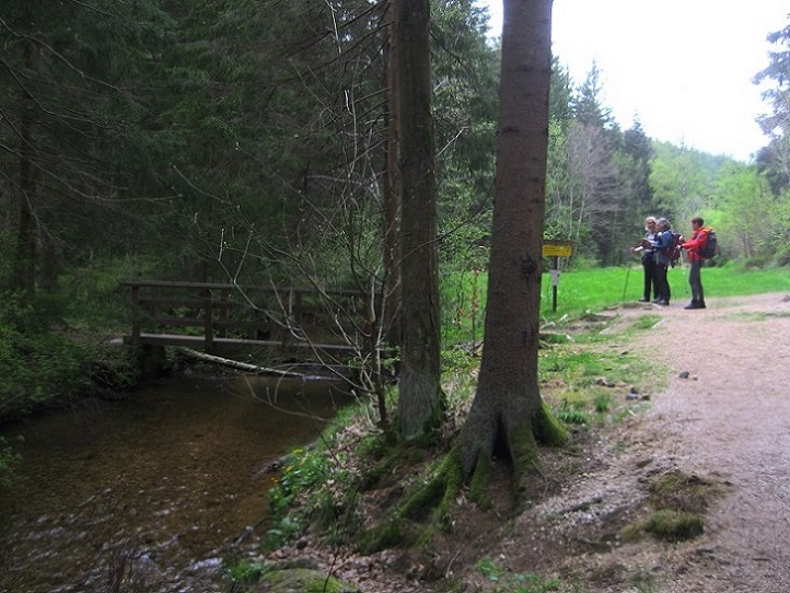 Foto: Andreas Koller / Wandertour / Bärentrail und die Kraft des Wassers (793m) / 26.04.2022 01:29:43