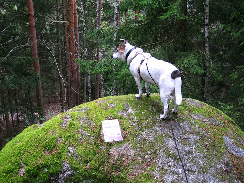 Foto: Andreas Koller / Wandertour / Bärentrail und die Kraft des Wassers (793m) / 26.04.2022 01:28:15
