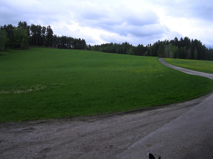 Foto: Andreas Koller / Wandertour / Bärentrail und die Kraft des Wassers (793m) / 26.04.2022 01:27:32