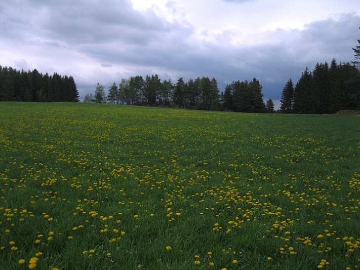 Foto: Andreas Koller / Wandertour / Bärentrail und die Kraft des Wassers (793m) / 26.04.2022 01:27:25