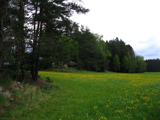 Foto: Andreas Koller / Wandertour / Bärentrail und die Kraft des Wassers (793m) / 26.04.2022 01:27:18