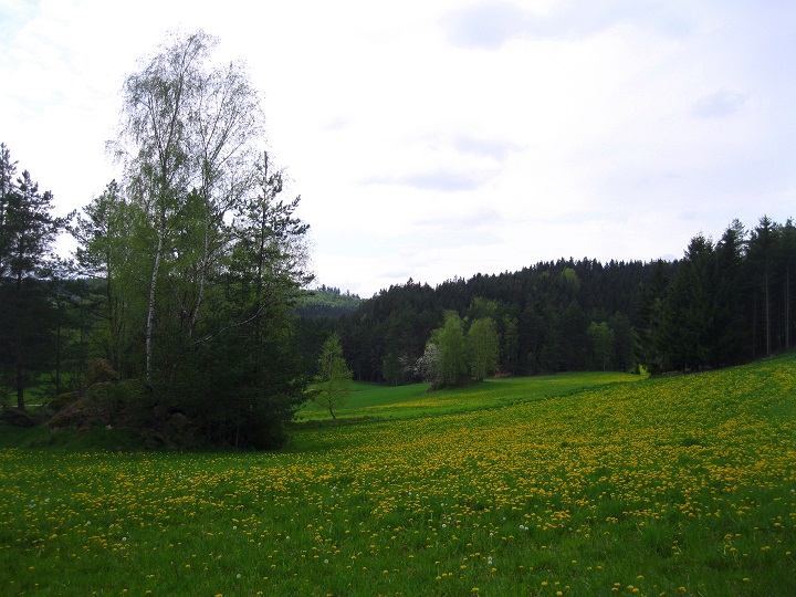 Foto: Andreas Koller / Wandertour / Bärentrail und die Kraft des Wassers (793m) / 26.04.2022 01:27:10