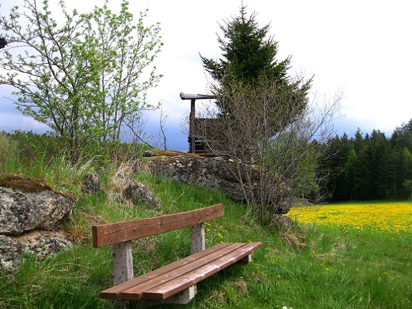 Foto: Andreas Koller / Wandertour / Bärentrail und die Kraft des Wassers (793m) / 26.04.2022 01:27:03