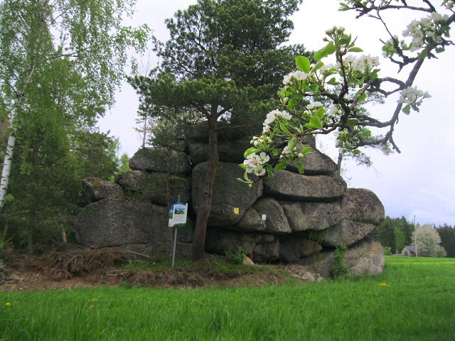 Foto: Andreas Koller / Wandertour / Bärentrail und die Kraft des Wassers (793m) / Froschstein / 26.04.2022 01:26:56