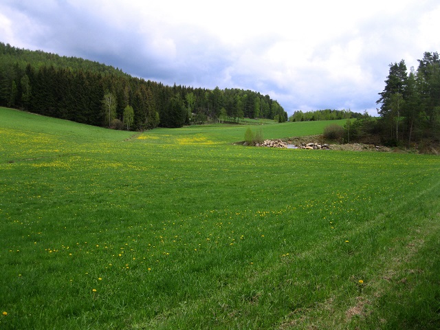 Foto: Andreas Koller / Wandertour / Bärentrail und die Kraft des Wassers (793m) / 26.04.2022 01:25:31