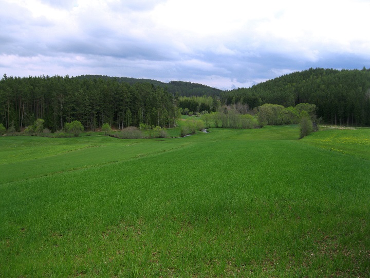 Foto: Andreas Koller / Wandertour / Bärentrail und die Kraft des Wassers (793m) / 26.04.2022 01:25:15