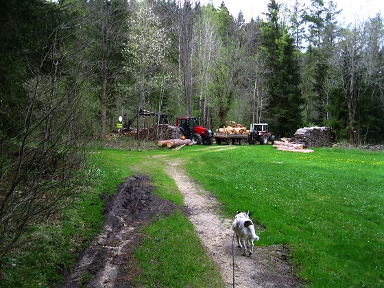 Foto: Andreas Koller / Wandertour / Bärentrail und die Kraft des Wassers (793m) / 26.04.2022 01:25:01